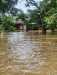 Akibat Banjir Bandang, Sejumlah Rumah di Kecamatan Kelayang  Inhu Tengelam