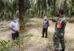 Koptu Deddy Harianto Sisir Hutan dan Lahan di Keranji Guguh