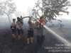 Kapolres Ikut Turun Tangan, 35 Hektar Lahan Gambut Semak Belukar Terbakar di Rokan Hilir