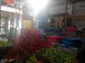 Jelang Tahun Baru Imlek, Harga Cabe Merah di Inhil Turun
