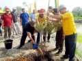 Dukung Penghijauan, Puluhan Ribu Pohon Sudah Tertanam di Rohil
