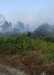 6 Hektar Lahan di Tualang Terbakar, Camat Sebut Sudah Dipadamkan
