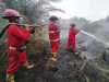 Lahan Terbakar di Siak Sudah Mencapai 87 Hektare, Belum Ada Tersangka
